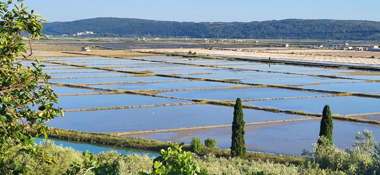 בפורטורוז Apartment Salt Pans View מראה חיצוני תמונה