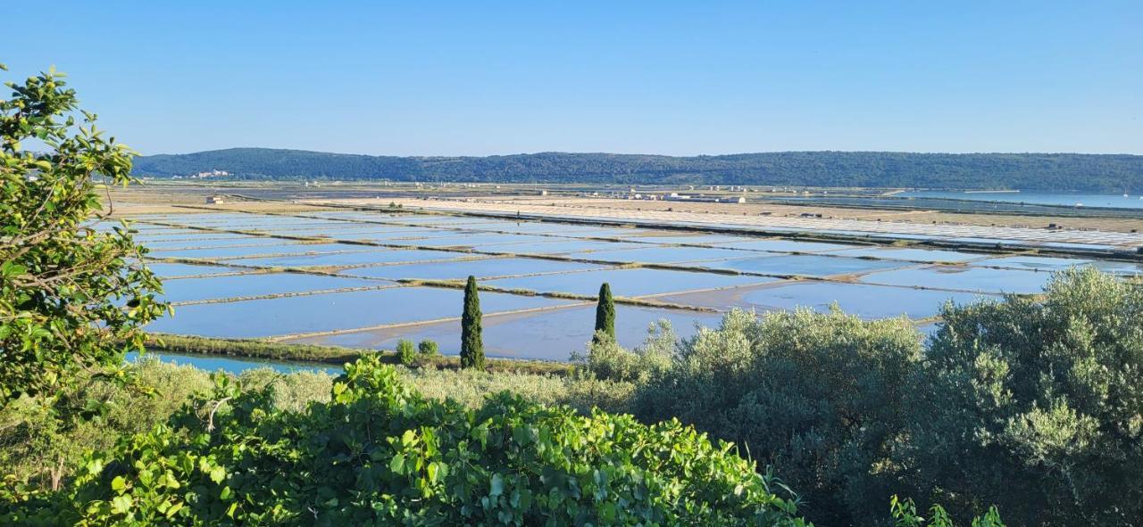 בפורטורוז Apartment Salt Pans View מראה חיצוני תמונה